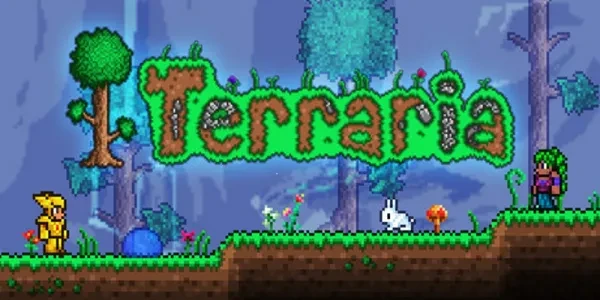 Terraria Best Accessories