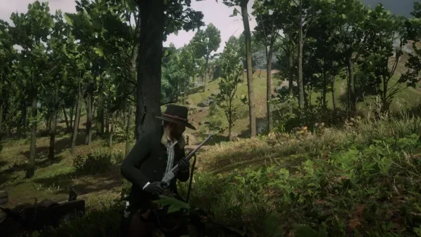 RDO Best Repeater, RDR2 Online Best Repeater, RDO Evans Repeater, RDR2 Online Evans Repeater, RDO Guns, RDR2 Online Guns, RDO Lancaster Repeater, RDR2 Online Lancaster Repeater