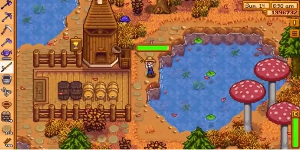 Stardew Valley Best Fishing Spots