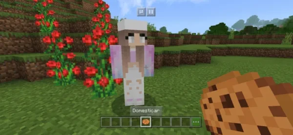 Minecraft Best NPC Mods