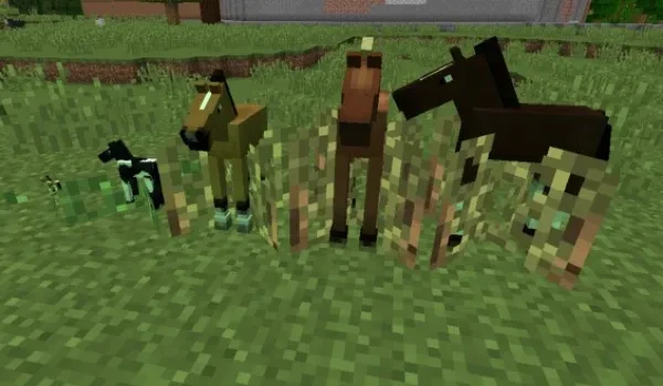 Minecraft, mod