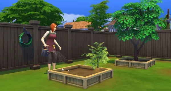 Sim watering plant