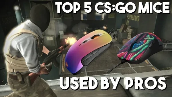 csgo mouse, csgo best mouse, csgo amazing mouse, csgo gaming mouse, csgo mice, csgo rgb mouse, csgo pro mouse, csgo mouse used by bros, csgo gaming rgb mouse, csgo pro gear