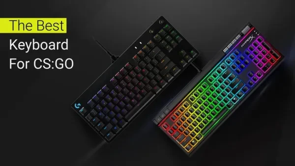 csgo keyboards, csgo best keyboards, csgo top keyboards, csgo pro keyboards, csgo keyboards used by pros, csgo top best keyboards, csgo rgb keyboards, csgo gaming gear, csgo amazing keyboards, csgo keyboards with rgb, csgo, csgo gaming, csgo gear, csgo top gear