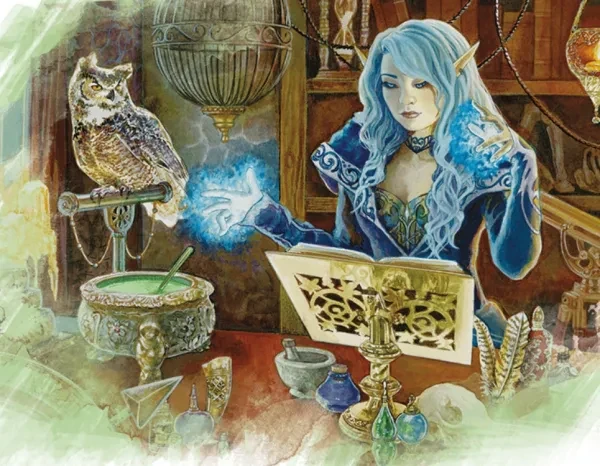 Sorcerer reading through magic book with owl companion