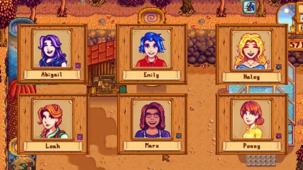 Stardew Valley Best Wife Who To Marry