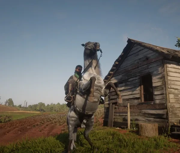 Best Horses in Red Dead Online