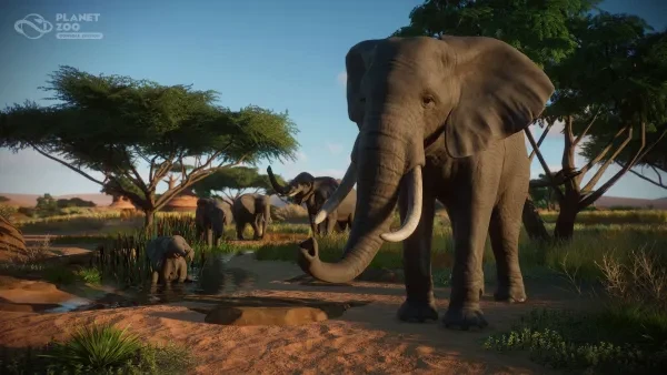 A group of elephants standing near a mud pit as a baby rolls around in the mud