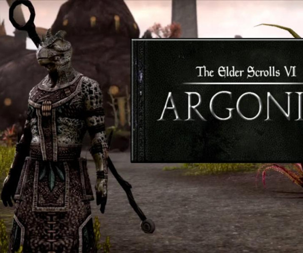 Elder Scrolls 6. Argonia? Hammerfell? Valenwood? BS? Whatever. Just bring it out already.