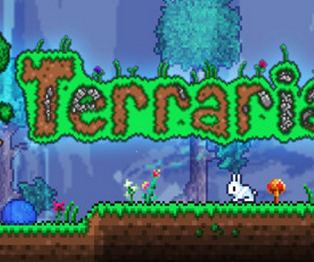 Terraria Best Accessories