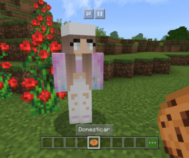 Minecraft Best NPC Mods