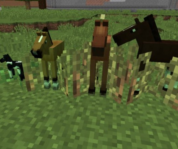 Minecraft, mod