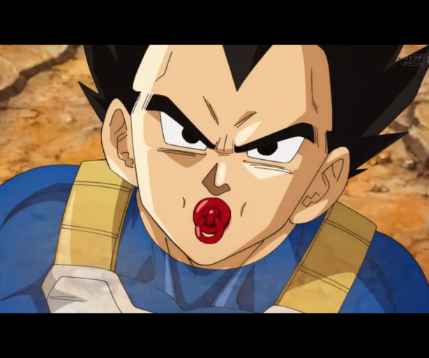  Best Vegeta Fights 