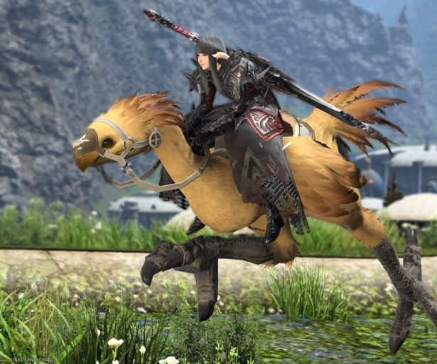 FF14 Best Chocobo Builds