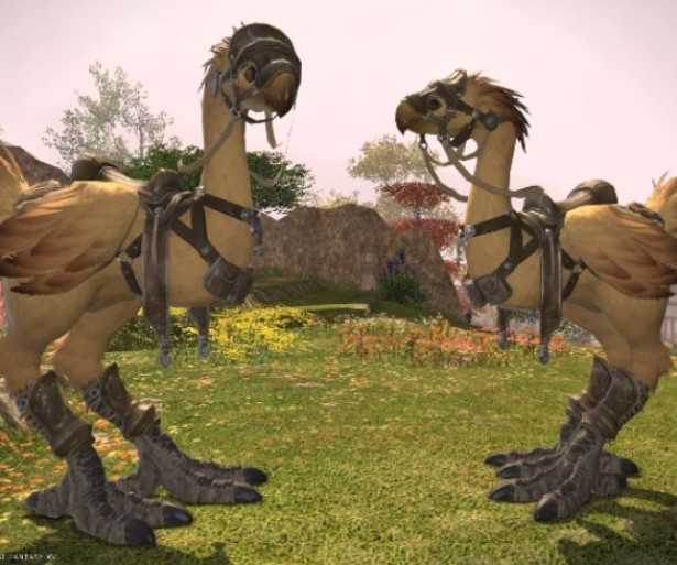 FF14 Best Ways to Level Chocobo