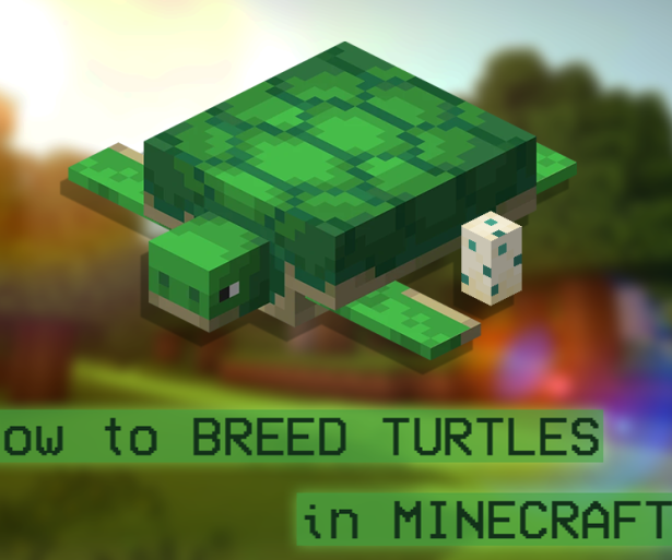 Thumbnail of a Turtle in Minecraft