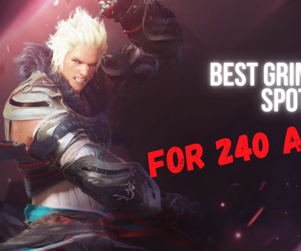 Best Black Desert Online Grind Spots For 240 AP