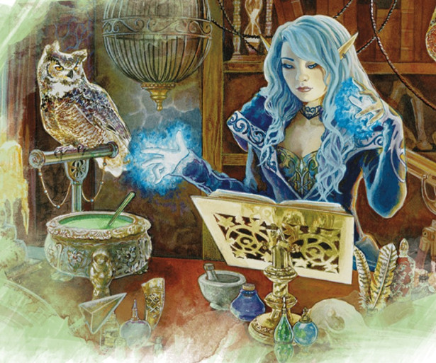 Sorcerer reading through magic book with owl companion