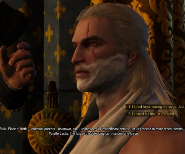 Witcher 3 Most Important Choices