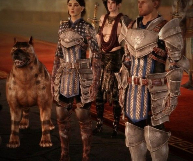 Dragon Age Origins Companions Ranked