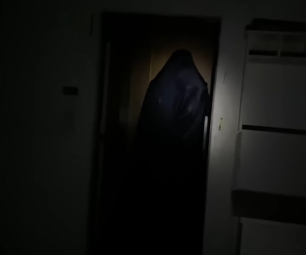 Screenshot of Mysterious figure from Mindseed TV 